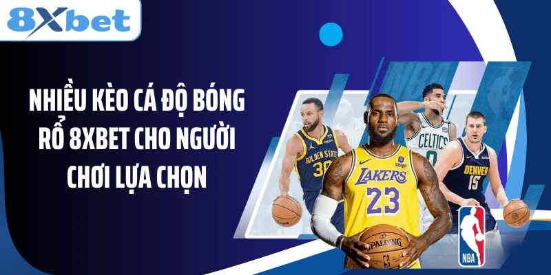 Nhiều kèo cá độ bóng rổ 8XBET cho người chơi lựa chọn